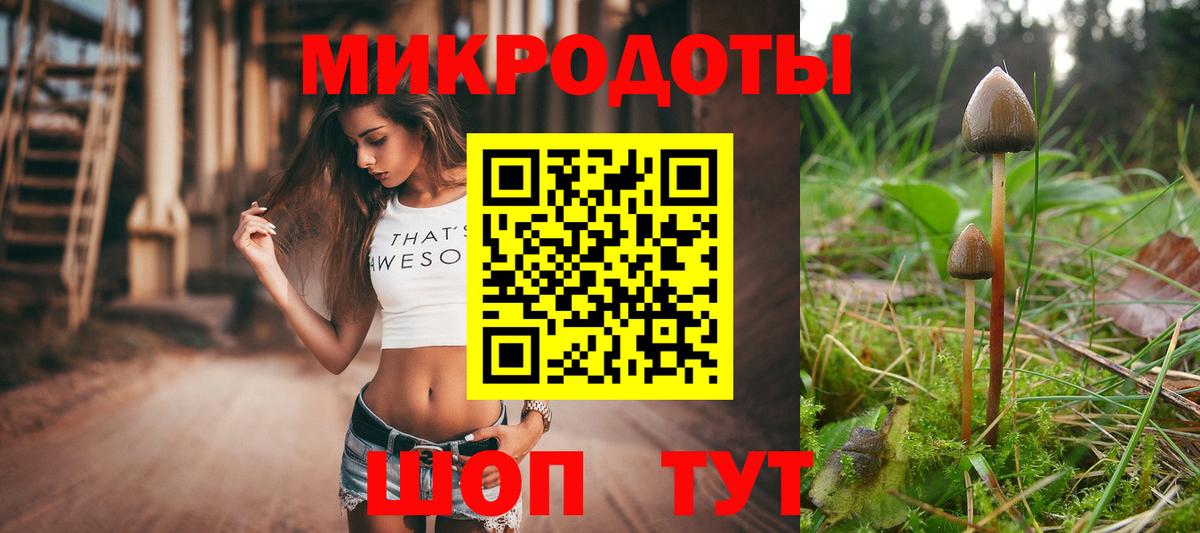 Псилоцибиновые грибы Psilocybe Шелехов